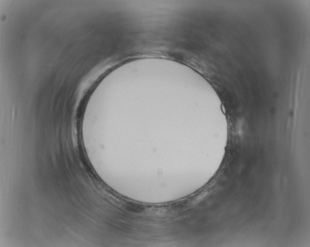 X0000067950294200605112132