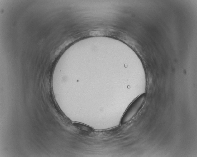 X0000067950297200605112132