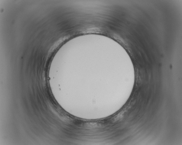 X0000067950298200605112132