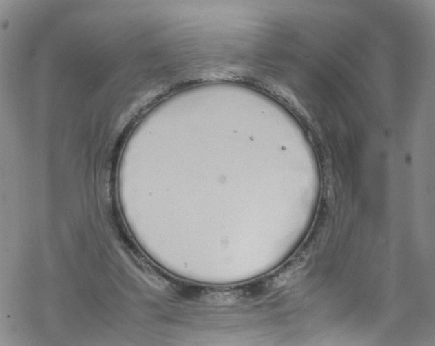 X0000067950299200605112132