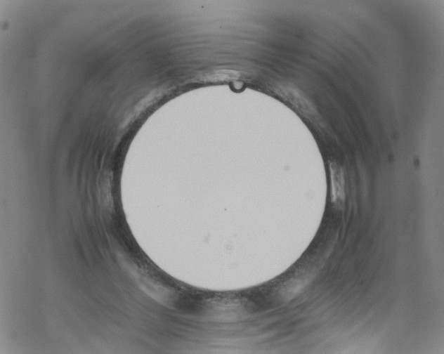 X0000067950300200605112132