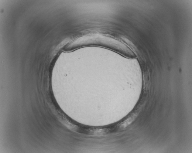 X0000067950301200605112132