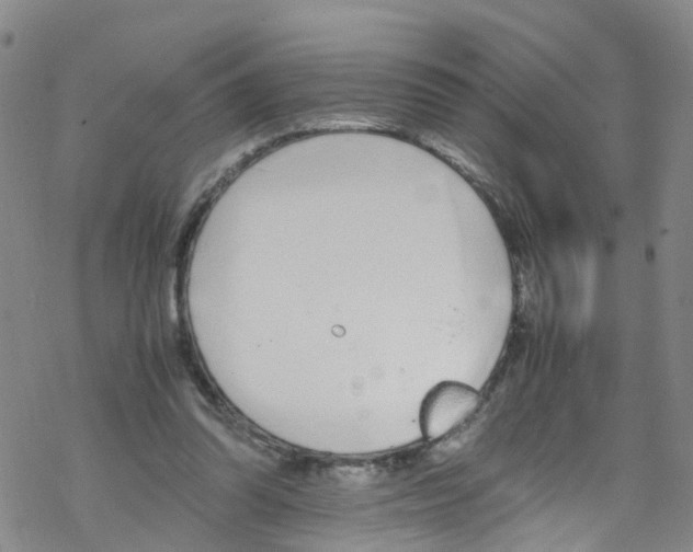 X0000067950302200605112132