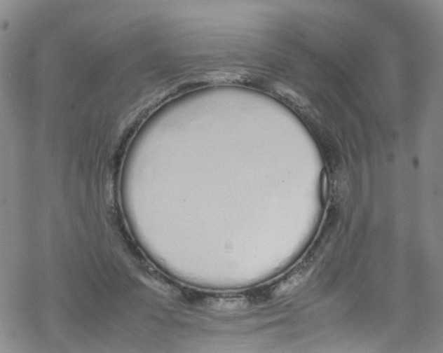 X0000067950303200605112132