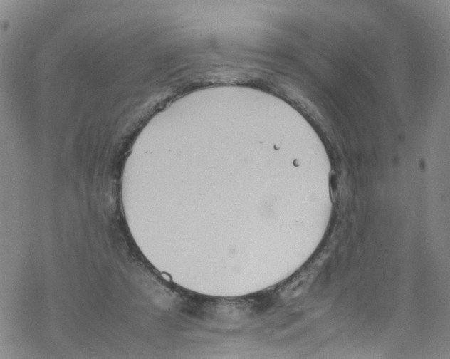 X0000067950305200605112132