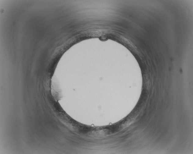 X0000067950307200605112132