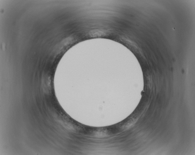 X0000067950308200605112132