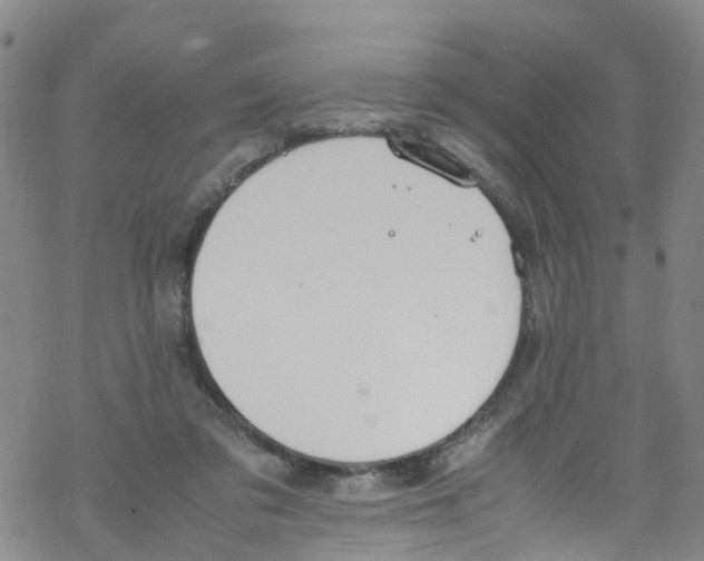 X0000067950309200605112132