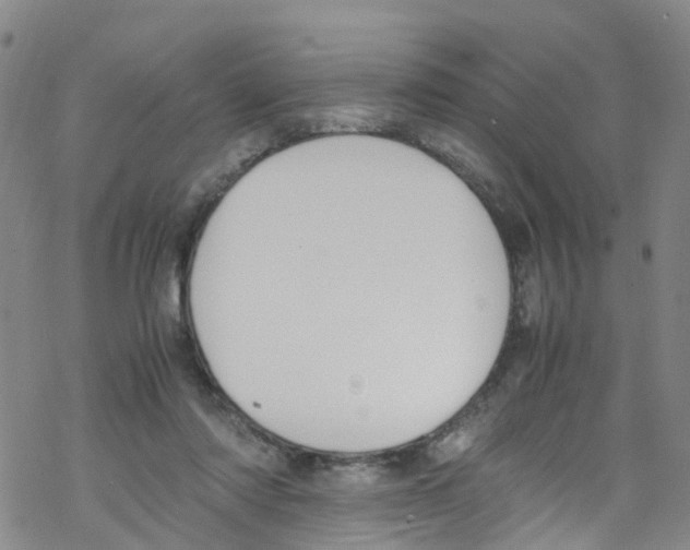 X0000067950310200605112132