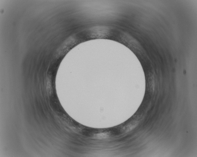 X0000067950312200605112132