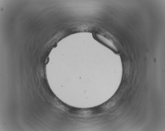 X0000067950313200605112132