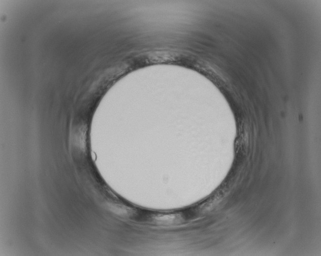 X0000067950315200605112132