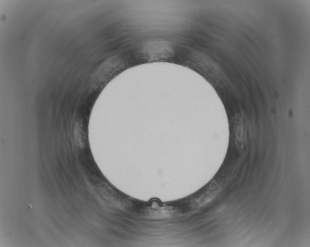 X0000067950316200605112132