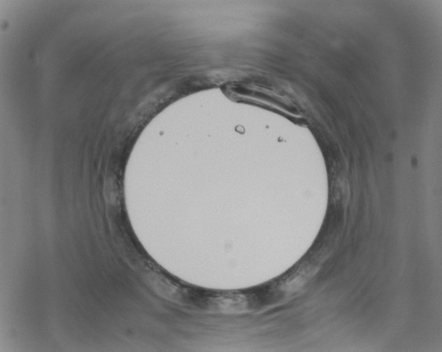 X0000067950317200605112132