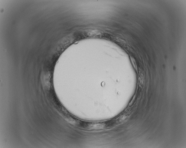 X0000067950319200605112132