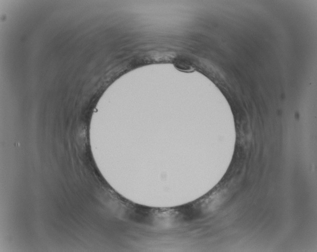 X0000067950321200605112132