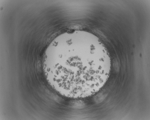 X0000067950322200605112132