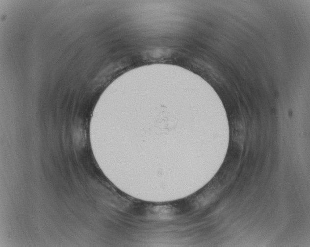 X0000067950324200605112132