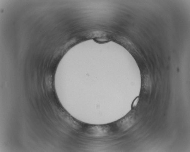 X0000067950326200605112132