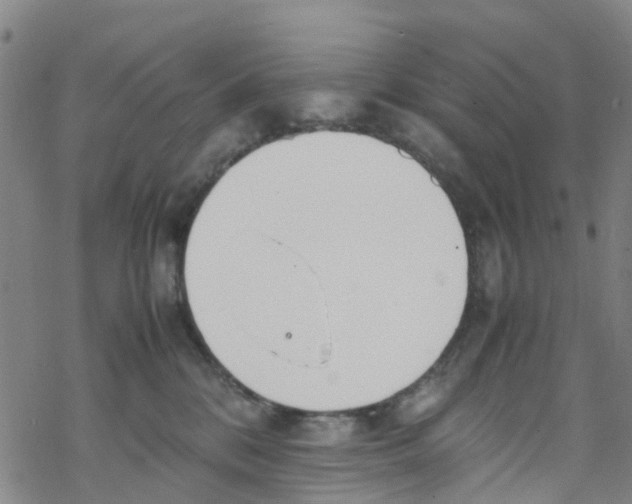 X0000067950328200605112132