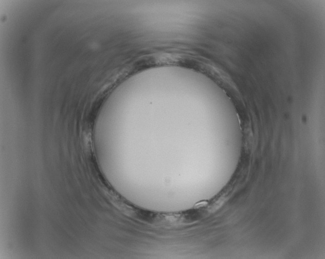 X0000067950329200605112132