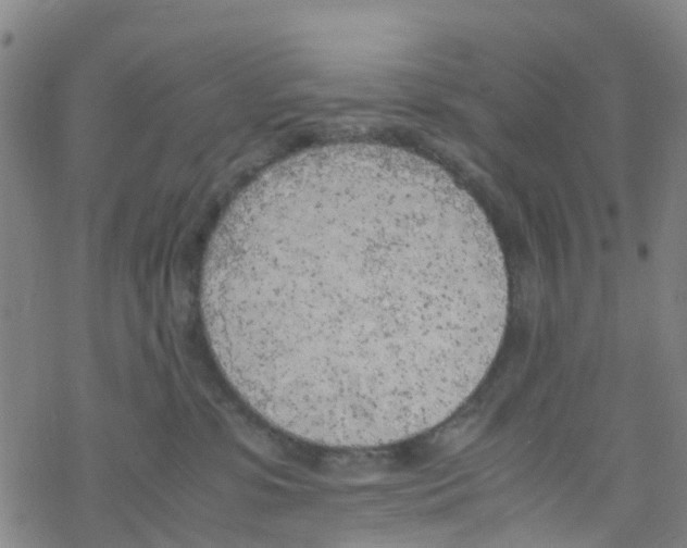 X0000067950331200605112132