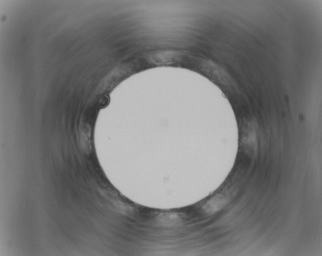 X0000067950332200605112132