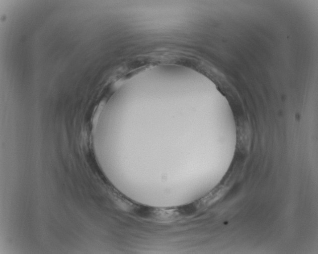 X0000067950333200605112132