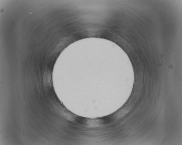 X0000067950336200605112132