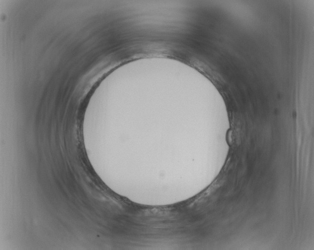 X0000067950338200605112131