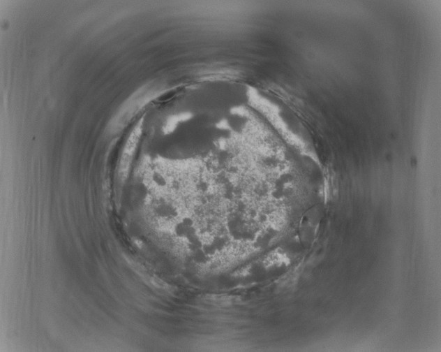 X0000067950339200605112131