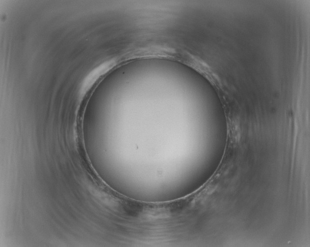 X0000067950340200605112131