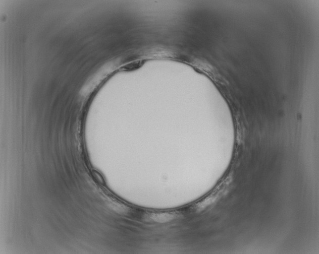 X0000067950341200605112131