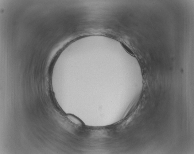 X0000067950342200605112131