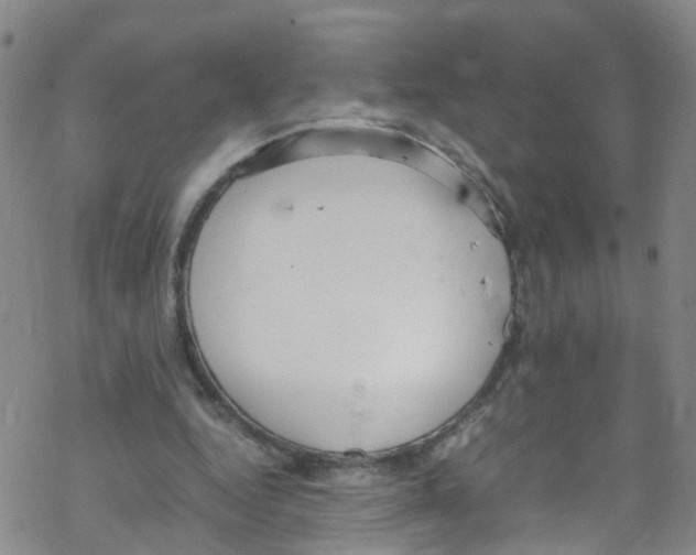 X0000067950344200605112131