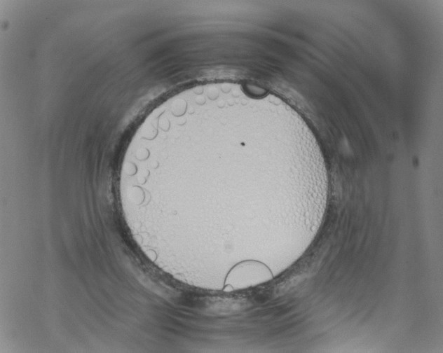 X0000067950347200605112131