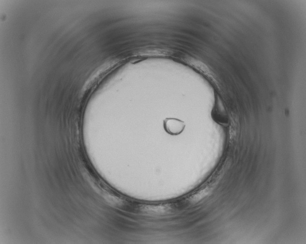 X0000067950349200605112131