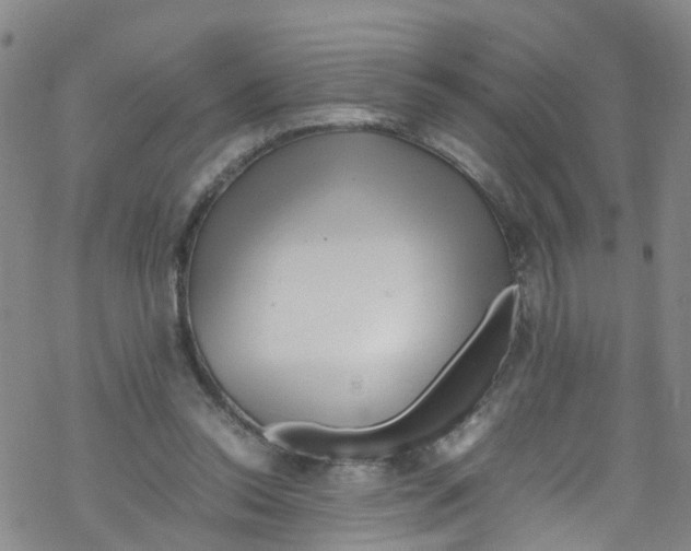 X0000067950350200605112131