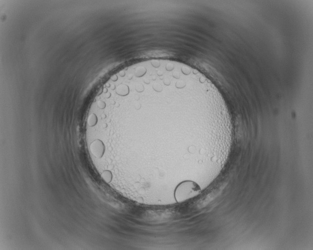 X0000067950351200605112131