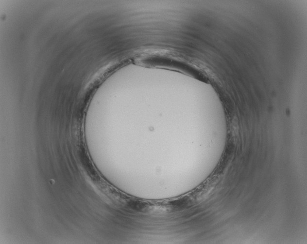 X0000067950352200605112131