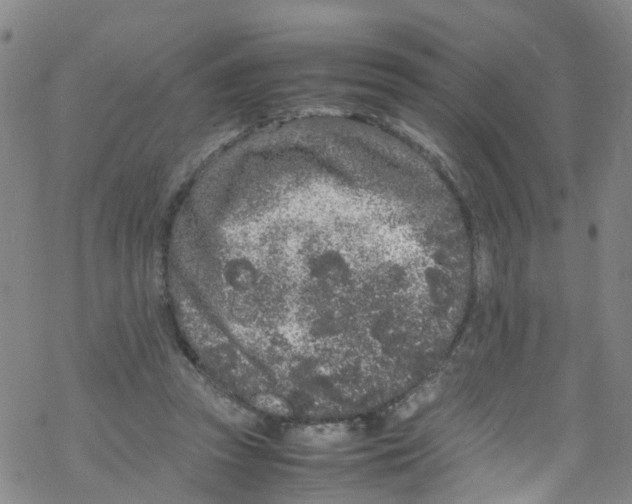 X0000067950353200605112131