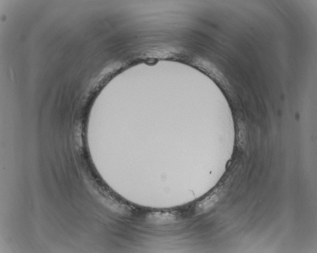 X0000067950354200605112131