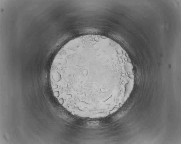 X0000067950355200605112131