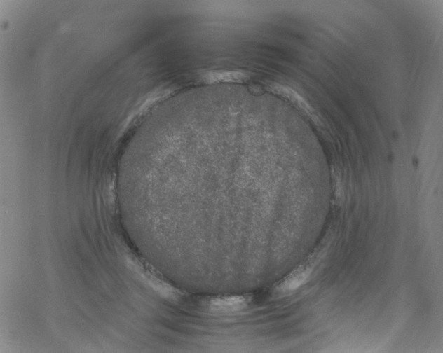 X0000067950357200605112131