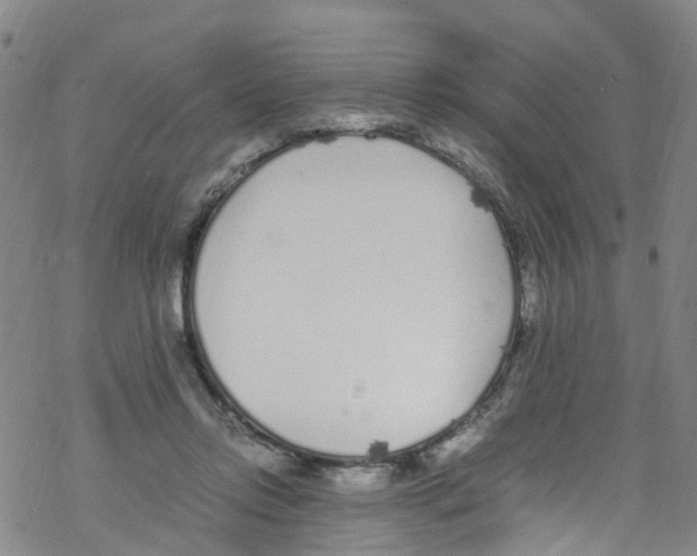 X0000067950358200605112131