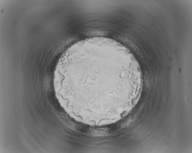 X0000067950359200605112131