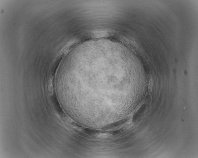 X0000067950360200605112131