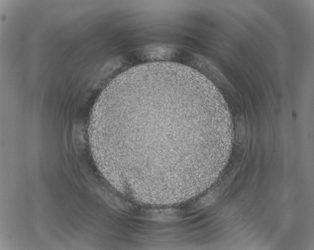 X0000067950363200605112131