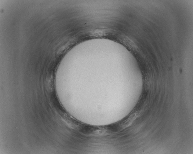 X0000067950364200605112131