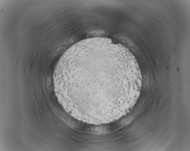 X0000067950365200605112131